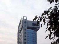 �������r(n��ng)�����ܻ�ϵ�y(t��ng)