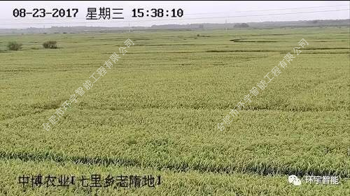 1733278515135554.png 圖片 12.png